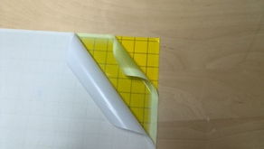上海星力有害生物防治 天然胶粘剂产品列表